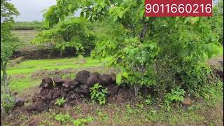 3 एकर जमीन अगदी तुमच्या बजेट मध्ये...#investment #dreamproperty #kokan