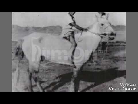 E.Uuganbileg "Chonon saaral" khuuriin aya