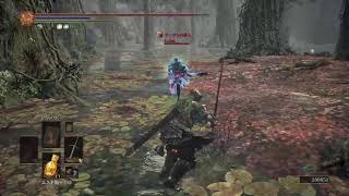 ダークソウル3　何かやる