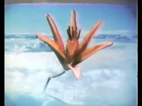 Don Carlos   Alone paradise)