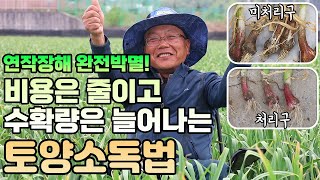 약제 비용 절감 & 수확량 증가 10% 비결! +연작 피해 방지하는 법