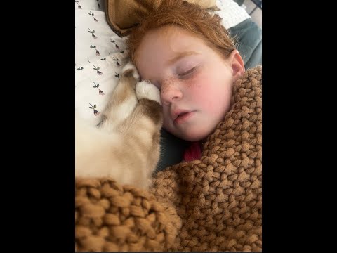 Don and Diane Shipley LIVE - February 18th at 1800 EST Thumbnail