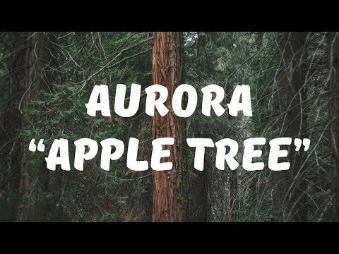 AURORA - Apple Tree (Lyrics)