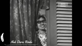 Download lagu BUJANG LAPOK (1957) mp3 Download lagu BUJANG LAPOK (1957) mp3