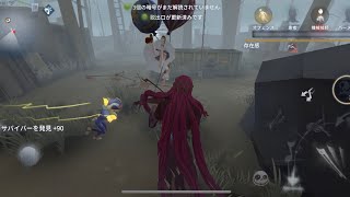 金の羽欲しい