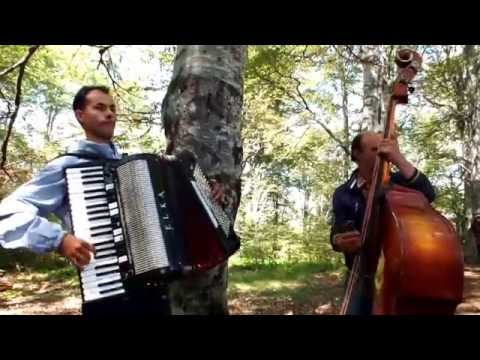 Sopski cacak- Galic harmonika Bora bas-selo Radosin-Tumba 2016