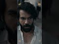 The Maalik Effect Maalik Dilthaamke Fyp Shorts