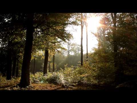 "Wo sein denn die Weglan..." (Veit Obersteiner)  - Sängerrunde St. Georgen am Längsee