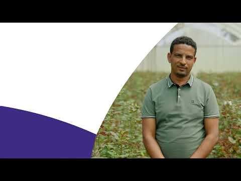 Impactmakers Holla Roses: Circulair ecosystem