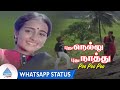 Pudhu Nellu Pudhu Naathu Movie Songs Poo Poo Poo Video Whatsapp Status Sukanya Ilaiyaraaja