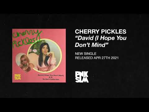 Cherry Pickles - "David" (I Hope You Don't Mind)" (OFFICIAL AUDIO)