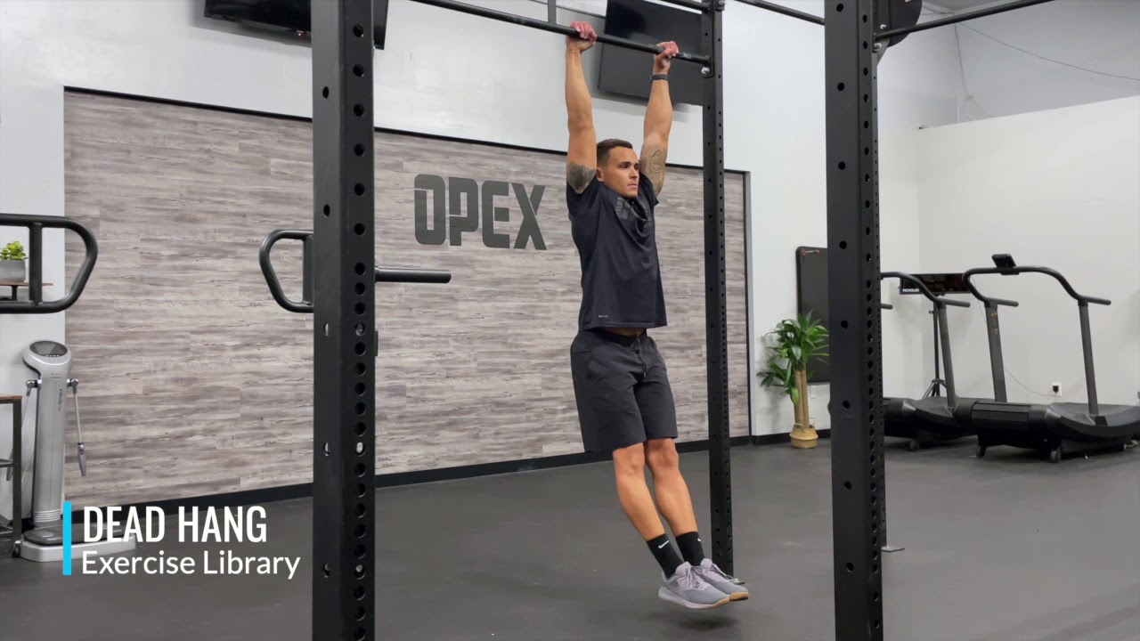 Dead Hang - YouTube