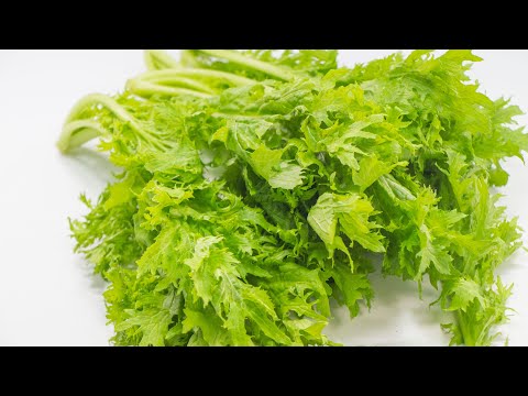 サビナのファラ - 定義