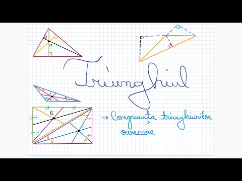 Triangle: congruence of any triangles - Grade 6