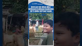 Viral Kisah Bocah SD Usia 8 Tahun Bisa Beli Hewan Kurban Sendiri, Nabung Setiap Hari Rp 5 Ribu