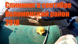 Ловля карася в коломенском районе