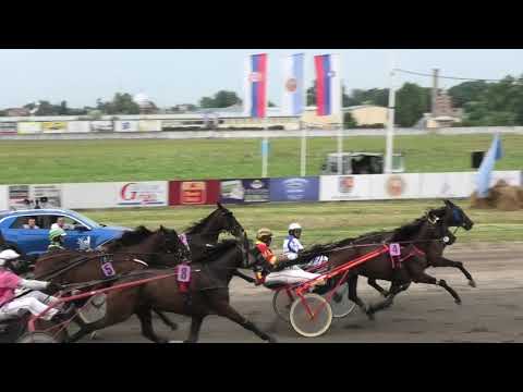 Trka “Dužijanca 2019-Finale” 28.07.2019 Rite on Win - Dejan Katanić