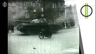 Az 1956-os forradalom és szabadságharc 69. évfordulójára emlékezünk