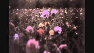 Sopor Aeternus - Beautiful Thorn