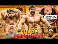 ALCANCEI O MELHOR FÍSICO DA MINHA CARREIRA APÓS NOVA ESTRATÉGIA!! *shape empedrou de vez*