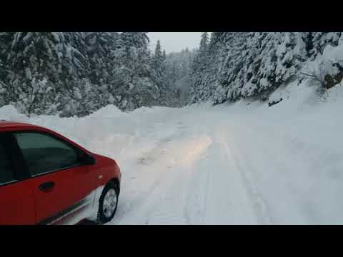 Dramatičan put u Žepu, drveće padalo na cestu