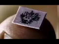 LSD High Level Whatsapp Status Video