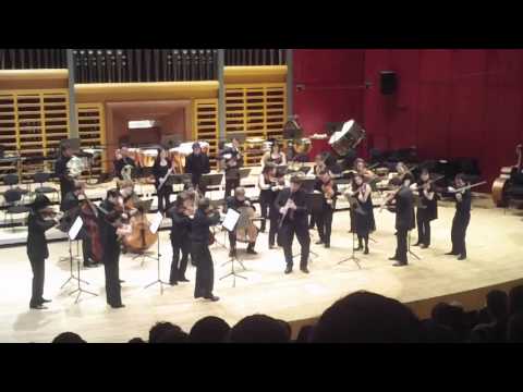 W.A. Mozart, Clarinet Concerto KV.622 - I. Allegro (Pavlos Serassis - Chamber Academy Basel)