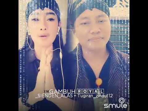 GAMBUH ROYAL