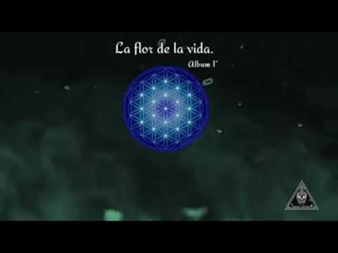 Volando • HN |Sick Minds Crew' M•E CREW'.