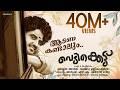 Aadana Kandaalum Video Song Vedikkettu Movie Song Vishnu Unnikrishnan Bibin George
