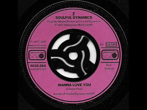 Wanna love you / The Soulful Dynamics.