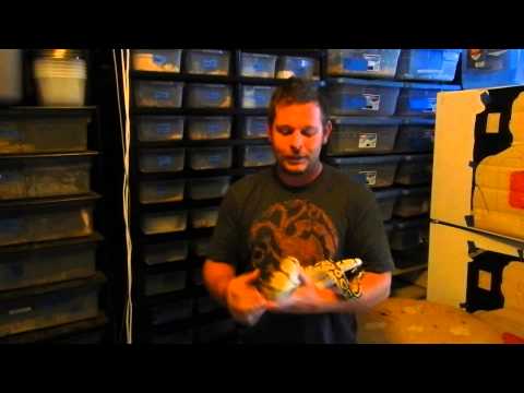 A little bit about us