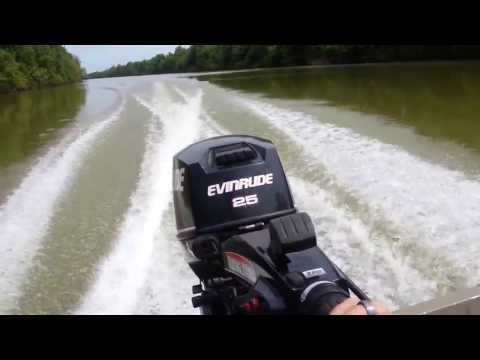 Evinrude E-tec 25