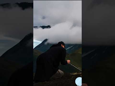 dog ai animation 3d shorts video#instagram reels#youtubeshorts#shots#viral#animals#trending#