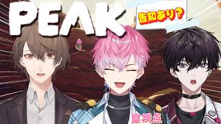 【 告知あり！】先輩、山にカブトムシ探しに行きませんか？ - PEAK - 【 皇れお  / にじさんじ 】