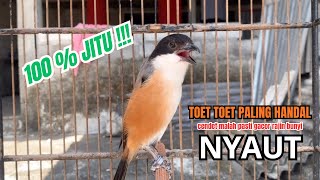 Download lagu cendet gacor MATERI JERNIH HANDAL buat PANCINGAN CENDET AGAR BUNYI bikin BURUNG PENTET GACOR NYAUT mp3 Download lagu cendet gacor MATERI JERNIH HANDAL buat PANCINGAN CENDET AGAR BUNYI bikin BURUNG PENTET GACOR NYAUT mp3