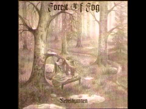 Forest Of Fog - In Vergessenen Ruinen