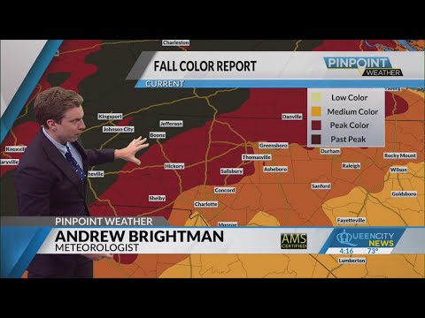 Where can you see peak fall foliage in WNC?