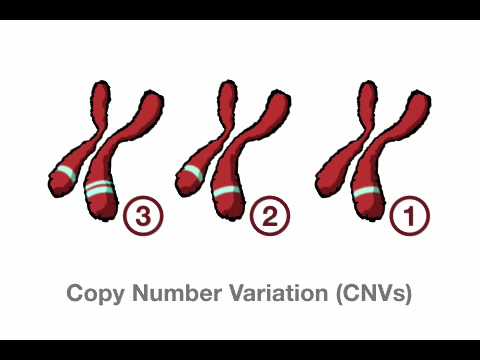 What is Genomics Part 3 Examples