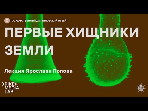 Лекция Ярослава Попова - 'Первые хищники земли' | Дарвиновский музей