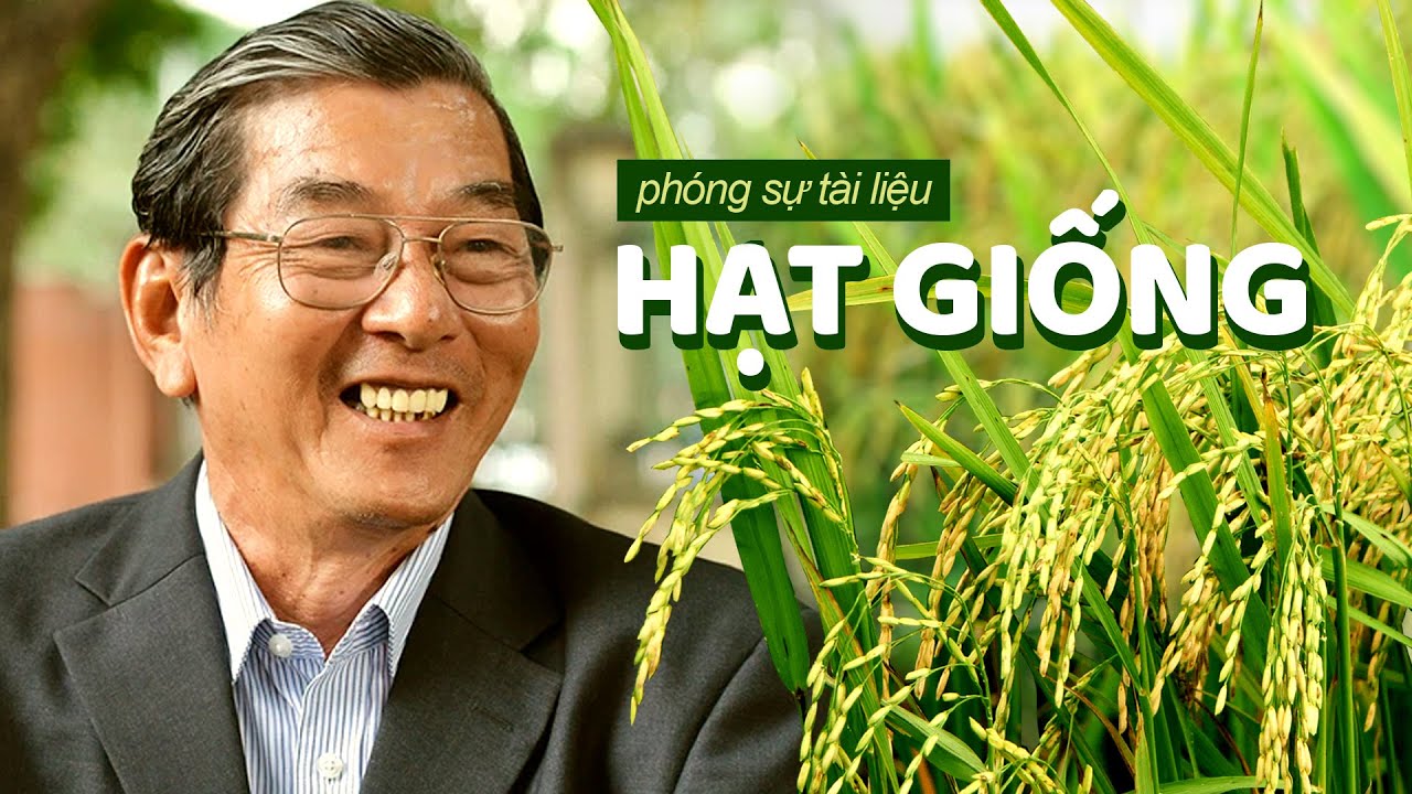 CÂU CHUYỆN VỀ KỸ SƯ HỒ QUANG CUA, CHA ĐẺ CỦA GIỐNG LÚA ST25