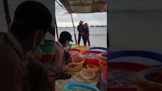 #Shorts Mui Ne Walking tour - Pandanus Resort