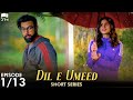 Dil e Umeed | Episode 1 | Short Series | Adeel Chaudhry, Arij Fatyma, Noor Hassan | Pakistani Drama