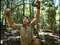 Crocodile Hunter Für Kids Das Geheime Tal Folge 10 1 2