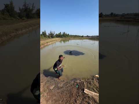 What Is This Black Thing In The Sea? #shorts