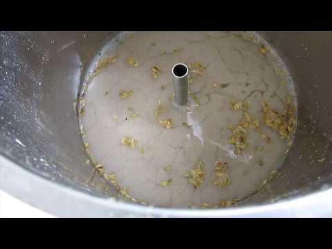 HBW #70 Rice Pilsner and Nelson Sauvin