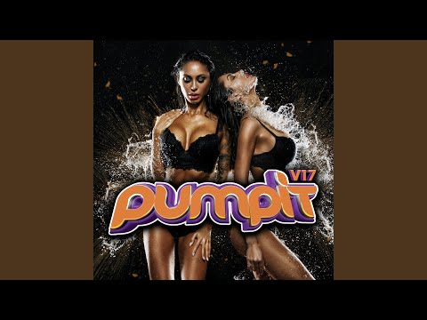 Pump It, Vol. 17 Megamix (Mixed)