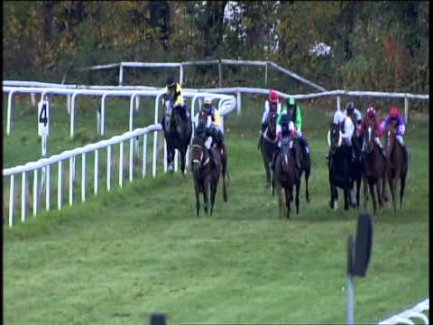 Galopprennbahn Dresden 26.10.2013 - 8.Rennen