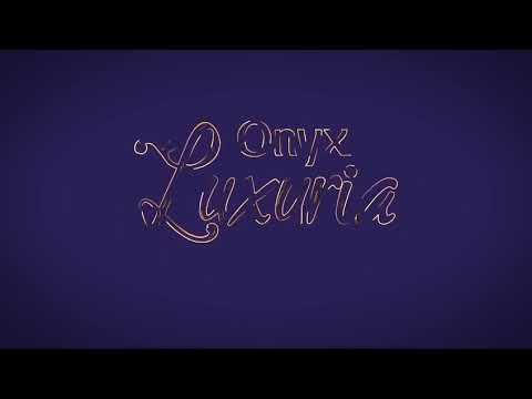 Maruti Onyx Luxuria Project Tour 1