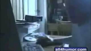 Download lagu Devourment - BabyKiller (Clip Video) mp3